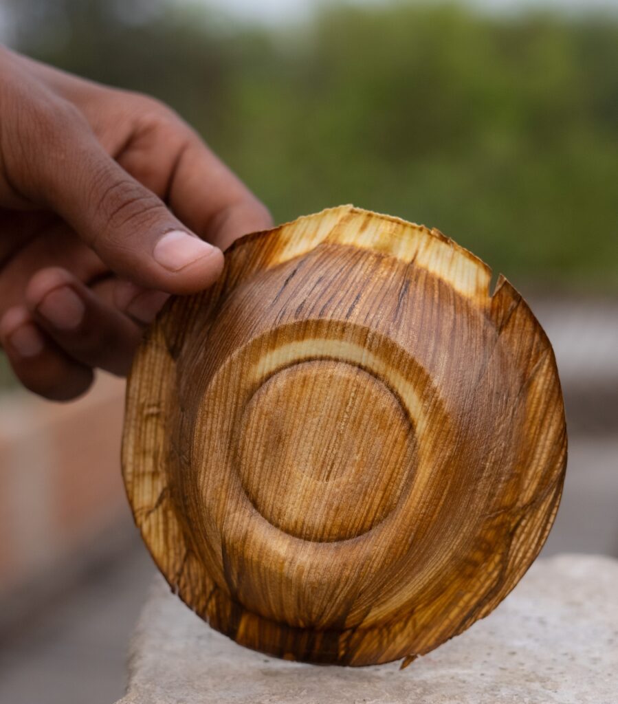 In this pin you can know the process of making Bowl of corn husk which is an alternative of plastic bowl. Cutlery made out of leaves Biodegradable plastic Eco friendly cups and much more DIY and Crazy Creation